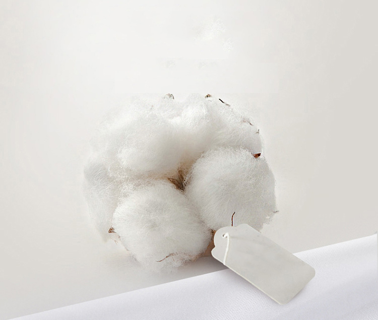 Pure cotton hotel bed: comfortable and durable, improve the quality of sleep choice！ 6