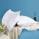 Hanbi Textile | Customized best hotel quality pillows free design 1