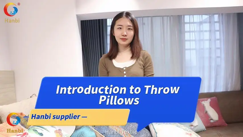 Custom square pillow company company Manufacturer | Hanbi Textile 1