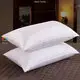 Wholesale luxury hotel pillows for sale supplier | Hanbi Textile 1
