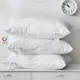 Hanbi Textile | best material pillow hotel order now 1