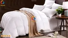 Hanbi Textile | Latest hotel style duvet series 1