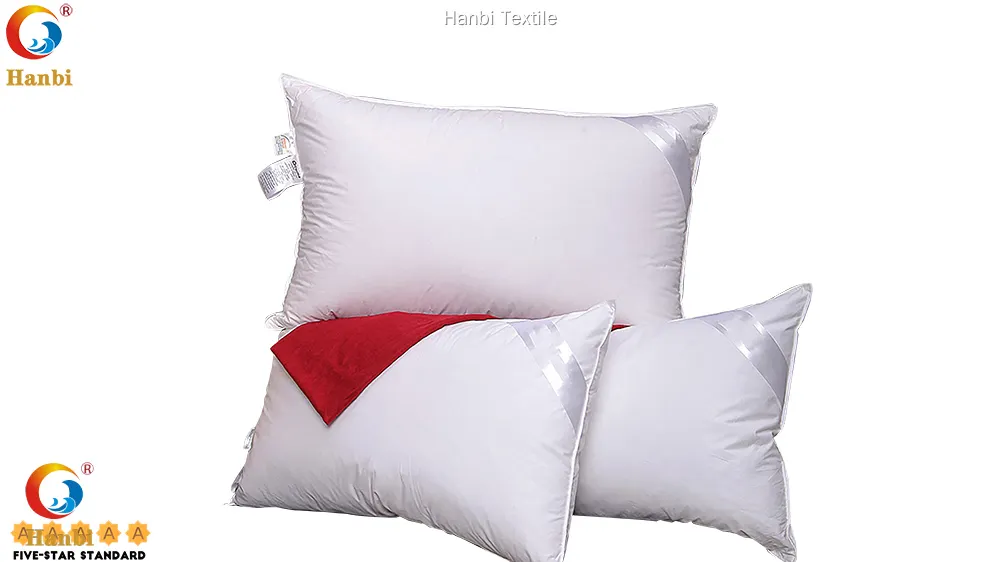Oem & Odm hotel pillows for sale order now | Hanbi Textile 1