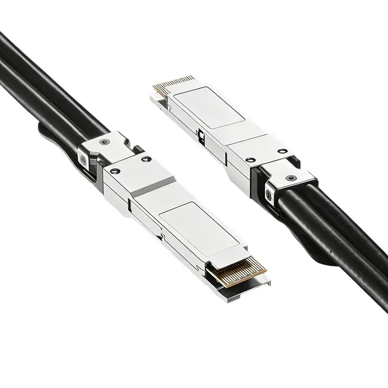 800G QSFP‑DD to QSFP‑DD Passive DAC Twinax Cable（1）