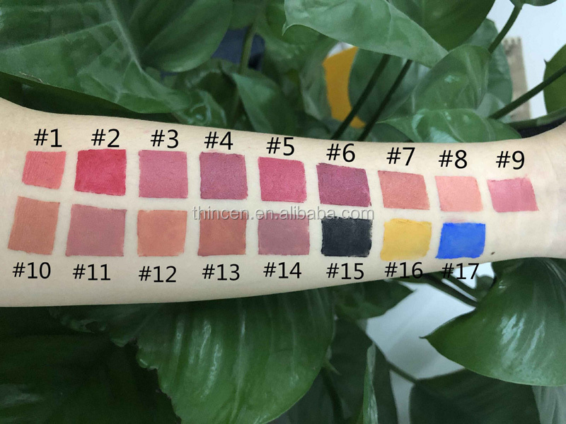 Wholesale waterproof matte lipstick 17