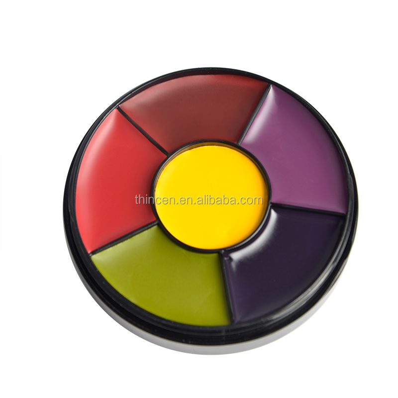 Wholesale 6 Color Finish Kit Body Paint Supplies 10