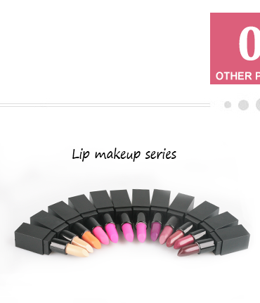 Thincen - No Logo 10 color cosmetic blusher palette 10 color makeup mixing blush palette Blush 17