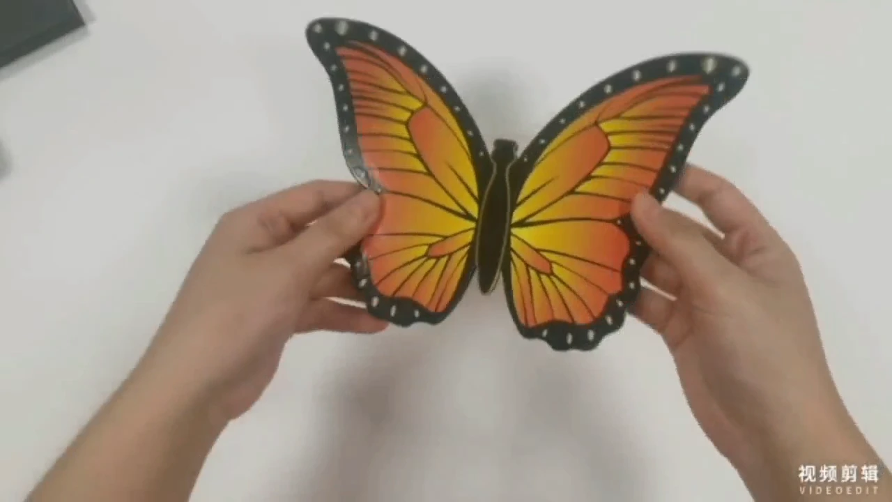 Creative Butterfly Shaped Eyeshadow Palette Wholesale Customization 1