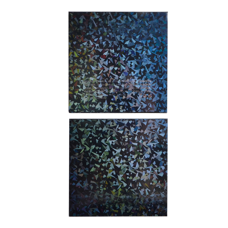 Водонепроникний довготривалий макіяж обличчя Private Label 9 кольорів пудри Status Highlight із дзеркалом 12