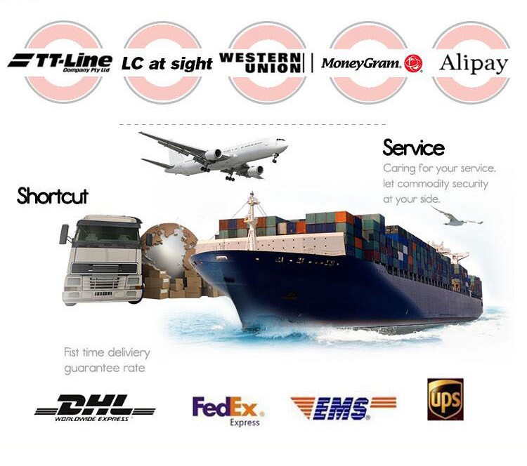 Thincen - Make Your Own Brand Eye Shadow Eyeshadow Base Primer Private Label Eyeshadow 46