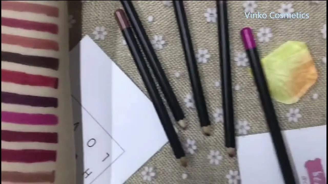 Thincen - 12 Colour Cosmetic Sets High Pigment Makeup Oem Lip Liner Pencil Lip liner 1