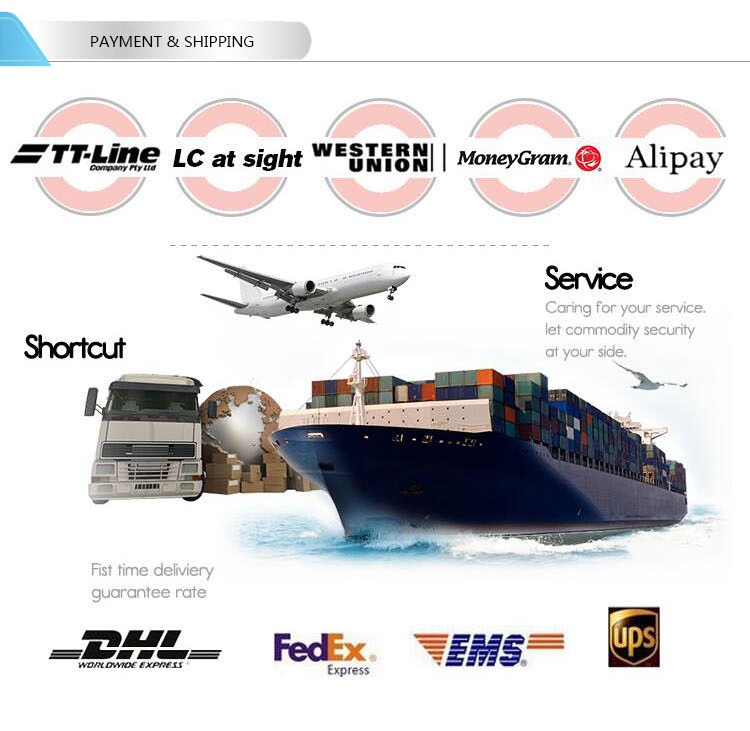 153 Color Long Lasting Private Label Single High Pigmented Private Lable 36