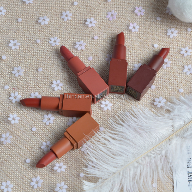 Long Lasting Gift Box 5 Pcs Mini Lipstick Set Private Label Matte Lipstick 14