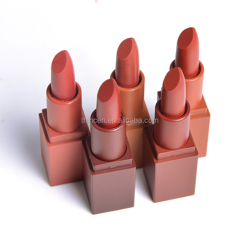 Thincen - 5 Color Lipstick Set Custom Lip Makeup Matte Private Label Lipstick Lipstick&Lipgloss 22