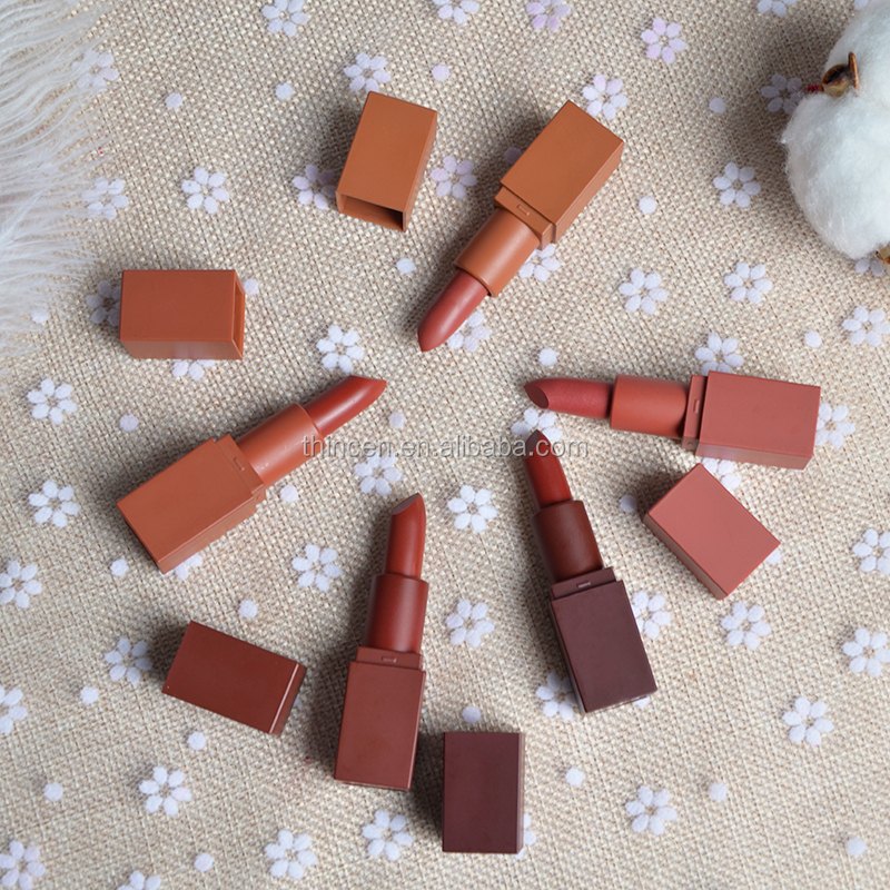 Thincen - 5 Color Lipstick Set Custom Lip Makeup Matte Private Label Lipstick Lipstick&Lipgloss 24