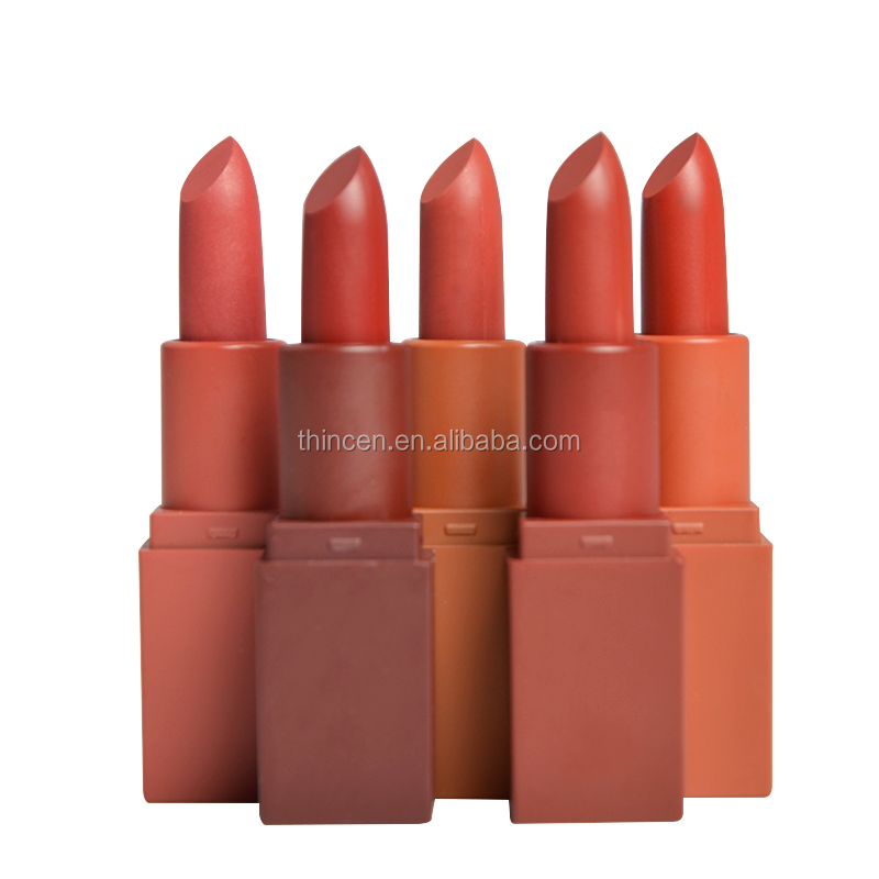 Thincen - 5 Color Lipstick Set Custom Lip Makeup Matte Private Label Lipstick Lipstick&Lipgloss 20