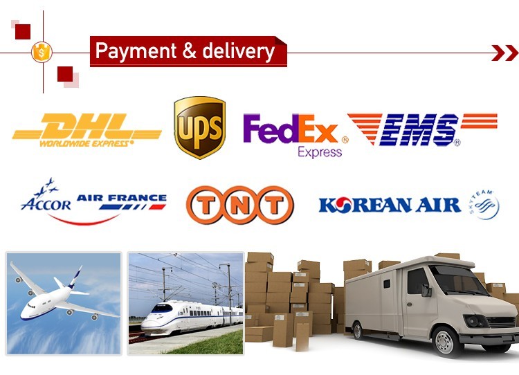 Thincen - 100% Cruelty Free Waterproof and Long Lasting Liquid Matte Lipstick Lipstick&Lipgloss 36