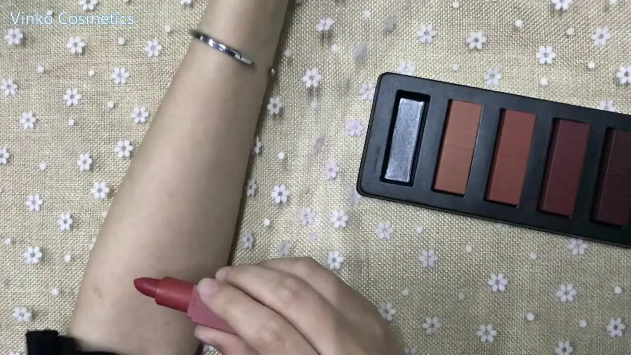 5 pcs color lip new make up matte private label lipstick set 1