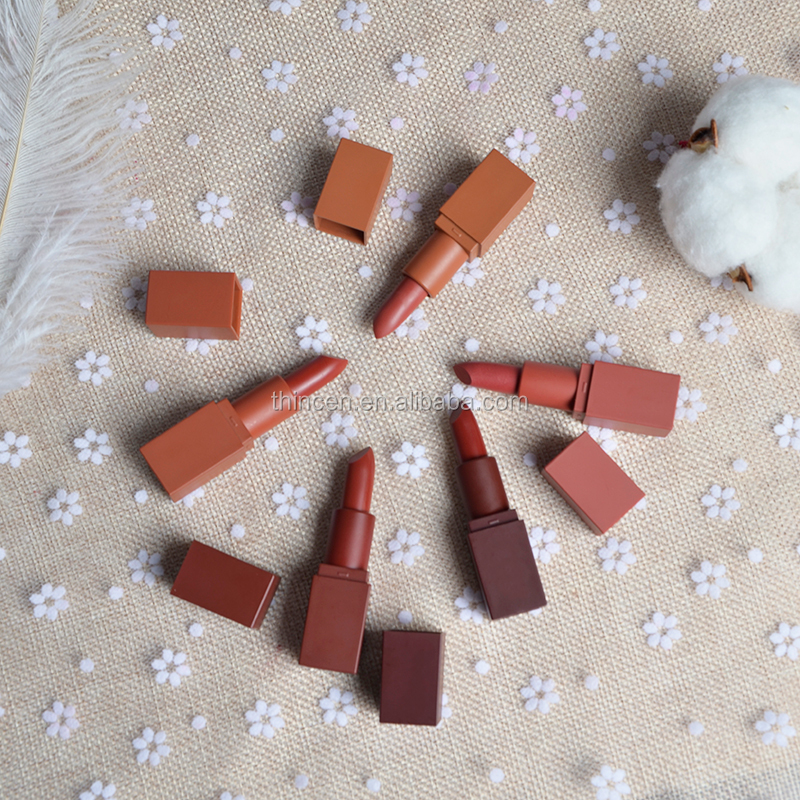 5 pcs color lip new make up matte private label lipstick set 10