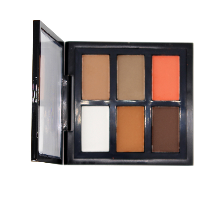 Thincen - High Pigment Shimmer Private Label Logo Customizable 6 Colors Dry Powder Makeup Eyeshadow Case Eyeshadow platte 14