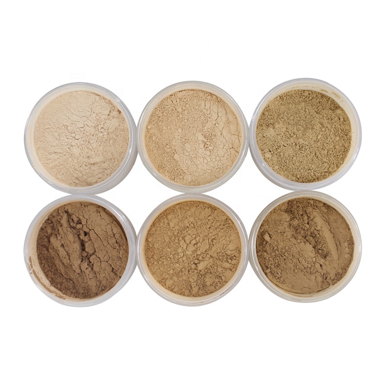 Single Foundation Face Powder Loose Powder 13