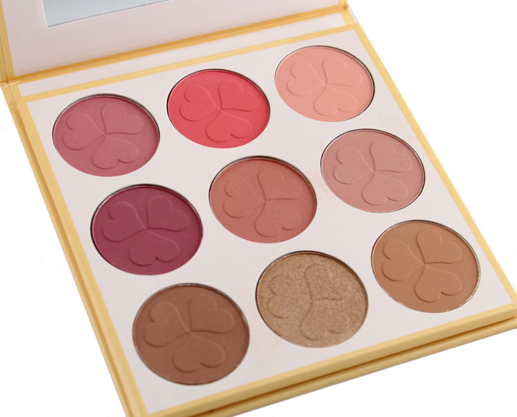 Oem Cosmetics Makeup Factory Luxury Blush Bronzer Palette 11