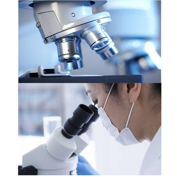 Custom Liquid Lip Stick Waterproof Matte Lipstick Set 12