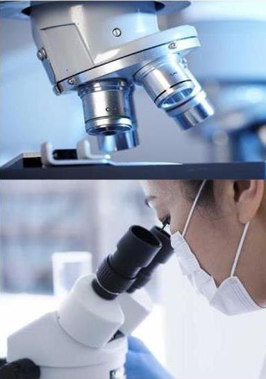 2022 New 35-Color Rainbow Glitter Eyeshadow Palette 7