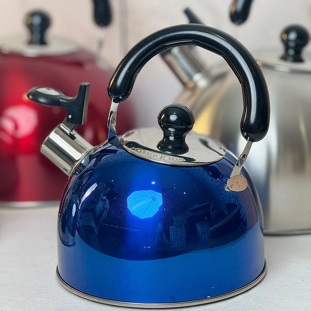 Stainless Steel Tea Kettle - Boils Instantly, Whistles When Ready 2