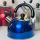 Stainless Steel Tea Kettle - Boils Instantly, Whistles When Ready 2