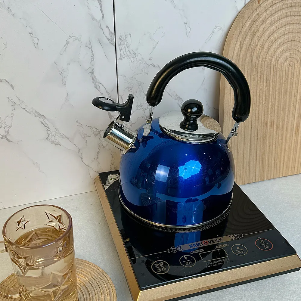 Stainless Steel Tea Kettle - Boils Instantly, Whistles When Ready 6