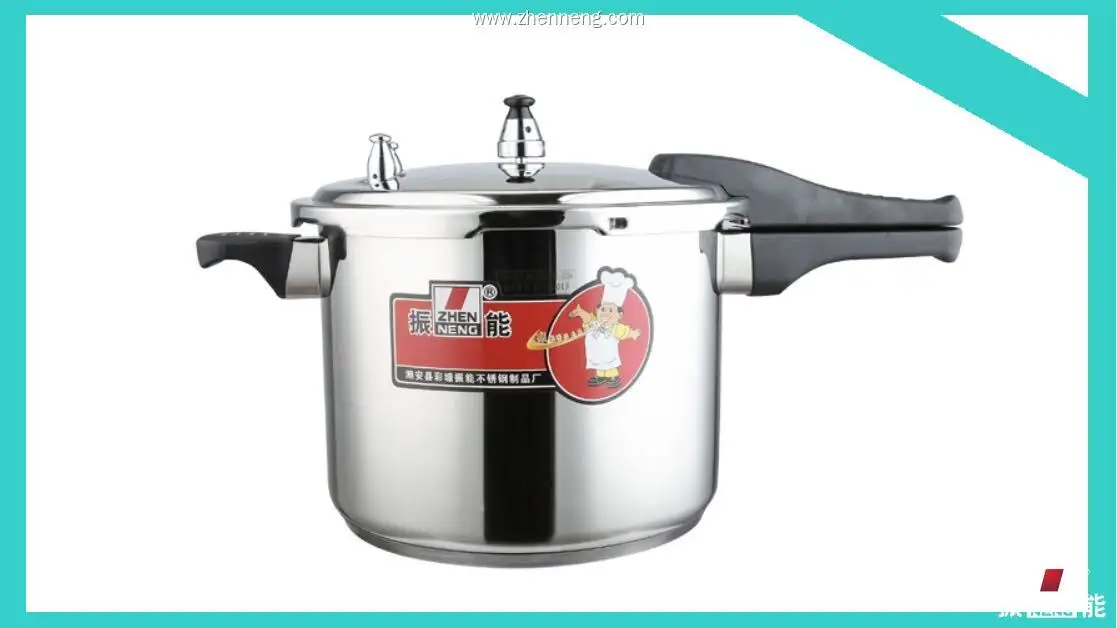 26cm Stainless Steel Pressure Cooker - Best Small Cooker 1