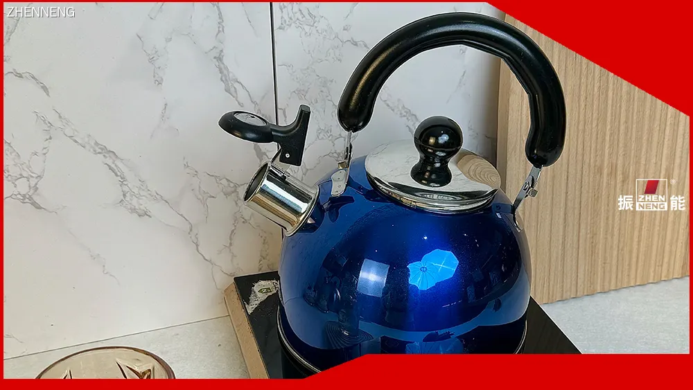 Stainless Steel Tea Kettle - Boils Instantly, Whistles When Ready 1