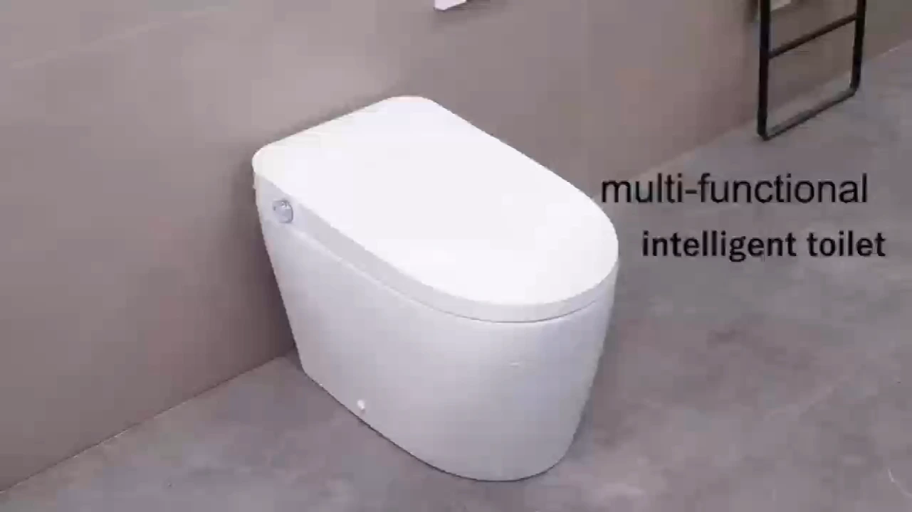 Tankless Smart Toilet With Bidet Built In, One-piece Bidet Toilet Seat 1