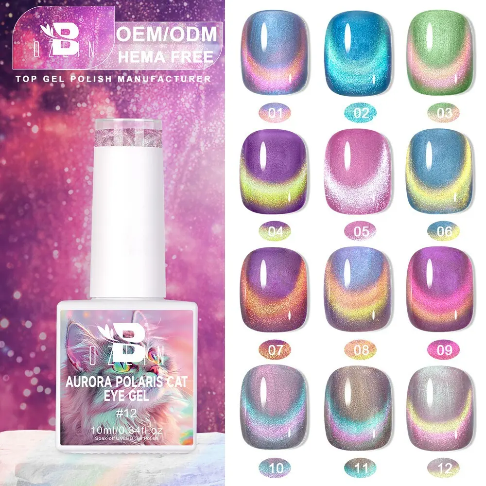 BOZLIN Hema Free 12 Colors Aurora Shell Thread Magnetic Cat Eye Nail Gel Polish Factory 1