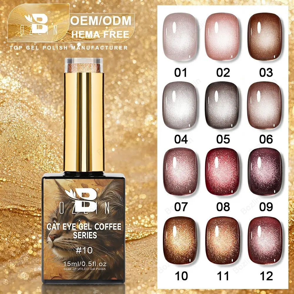 BOZLIN HEMA TPO Free Coffee Series 12 Colors Brown Cat Eye Magnetic Nail Gel Polish Supplier 1