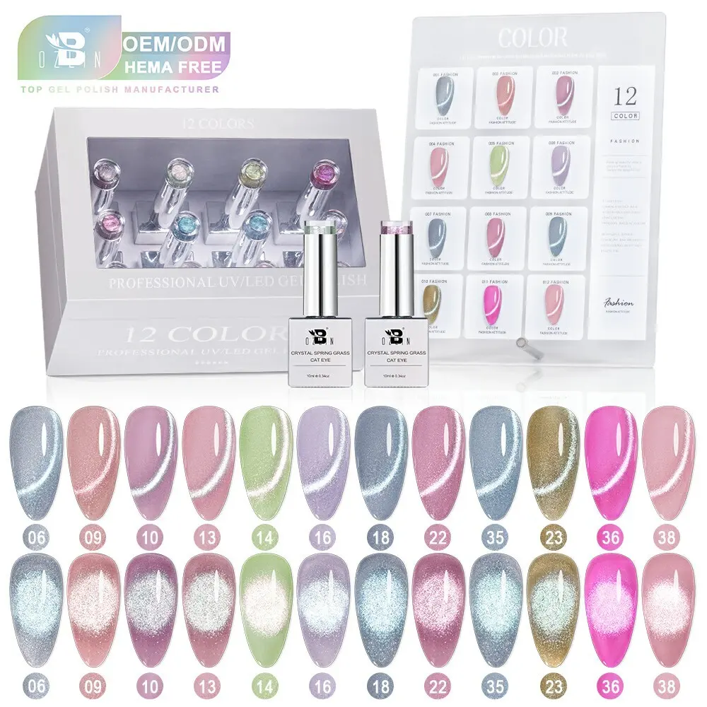 BOZLIN HEMA TPO Free Crystal Spring Glitter Cat Eye UV Gel Nail Polish Set Supplier 1
