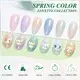 BOZLIN Professional Glitter Gel Nail Polish Brands 6