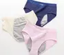Bulk Menstrual Period Underwear Company 2