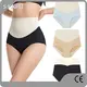 Seamless Panties Lower Tummy Control Panties Wholesale 1