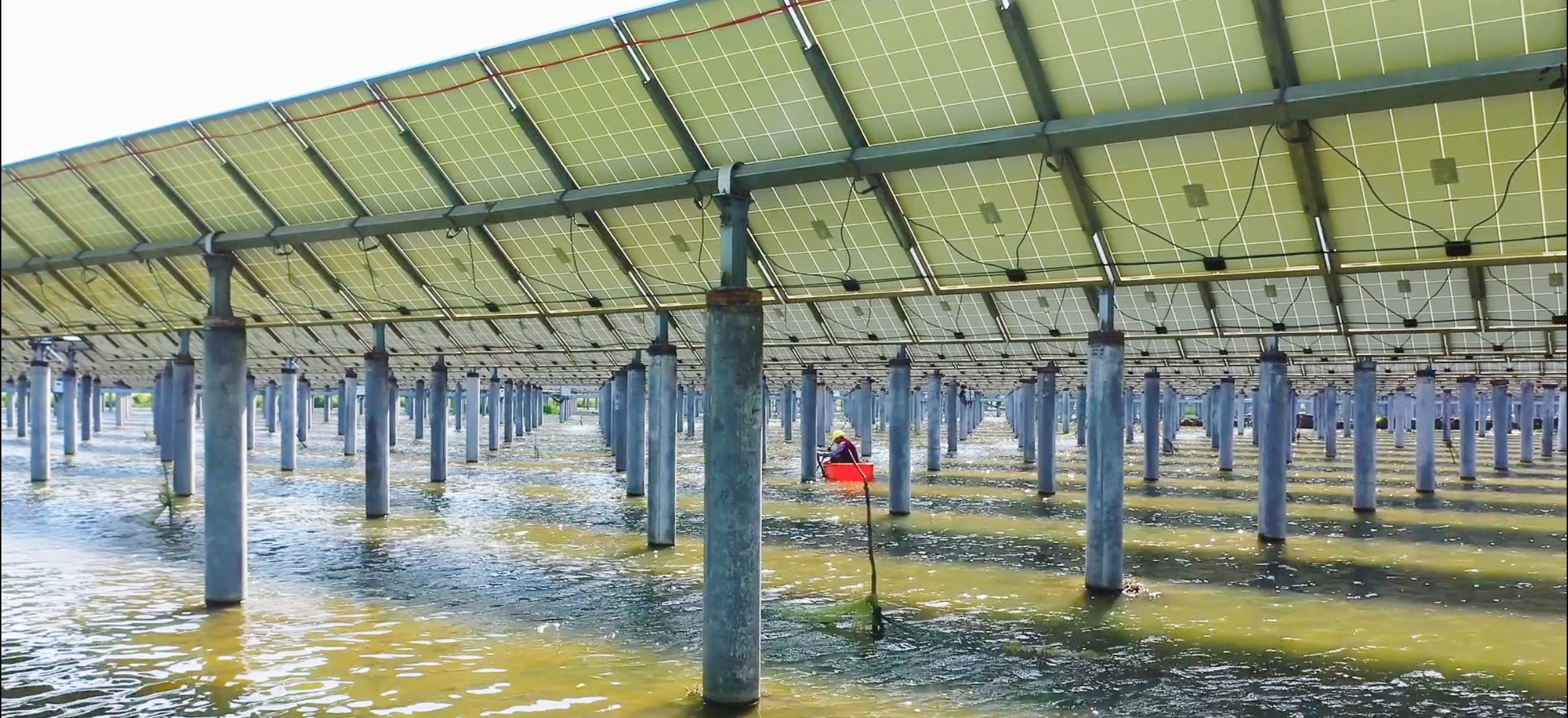 Professional Solar Connectivity Solutions That Drive Efficiency, Sustainability, and Cost Savings for a Cleaner Planet.