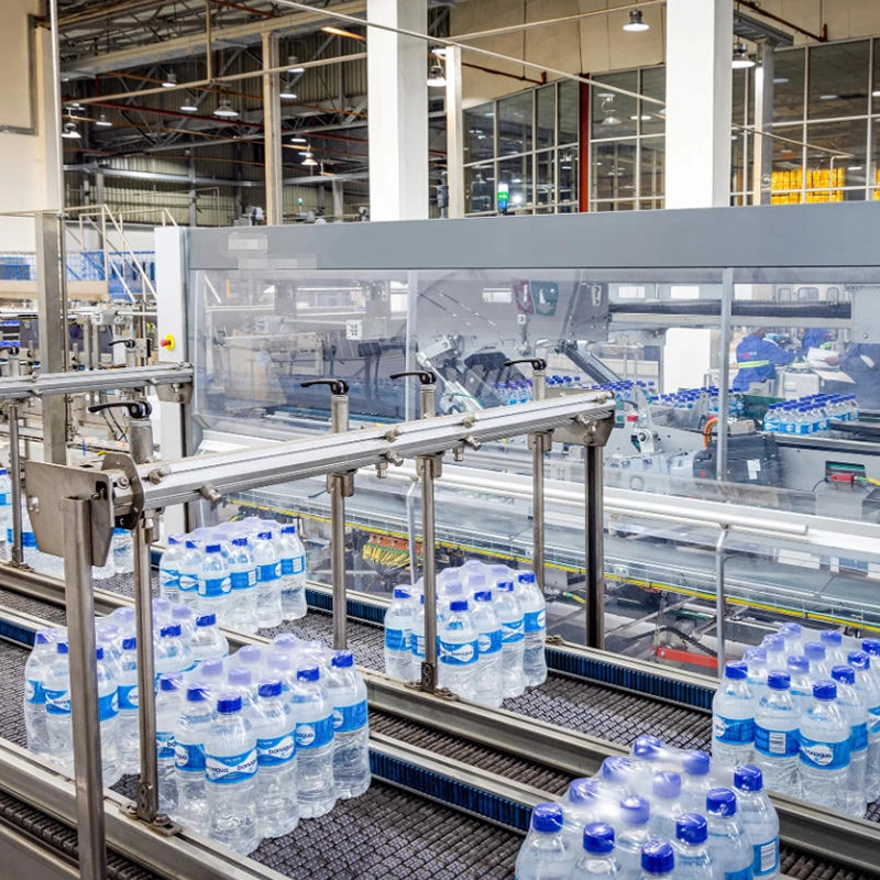 Palletizing Machine 1