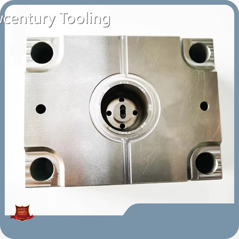 Produzione di componenti e stampi a iniezione personalizzati per Lamborghini 1