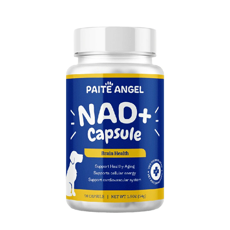 Premium NAD+ Cellular Energy & Brain Health Supplement for Dogs 1