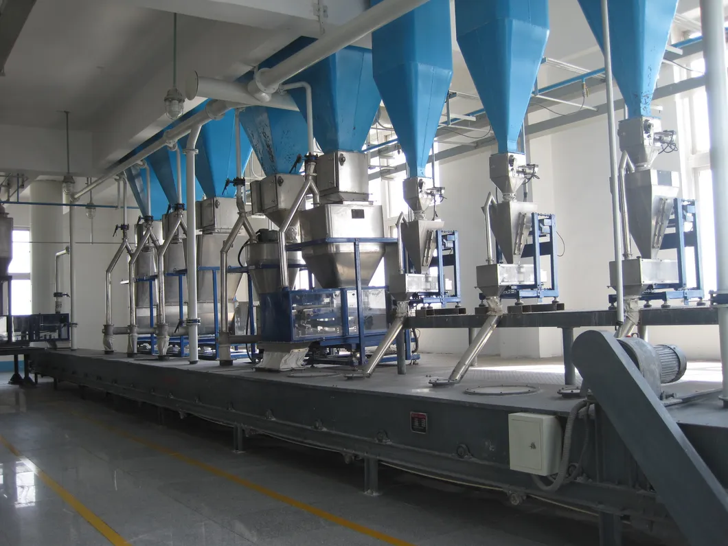 Supplier for Detergent Powder Mixing Equipment / Washing Powder Production Line