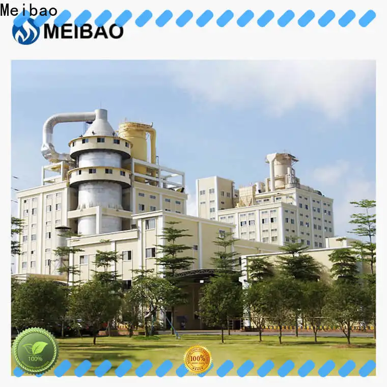 Meibao popular washing powder making machine for business for detergent industry 1