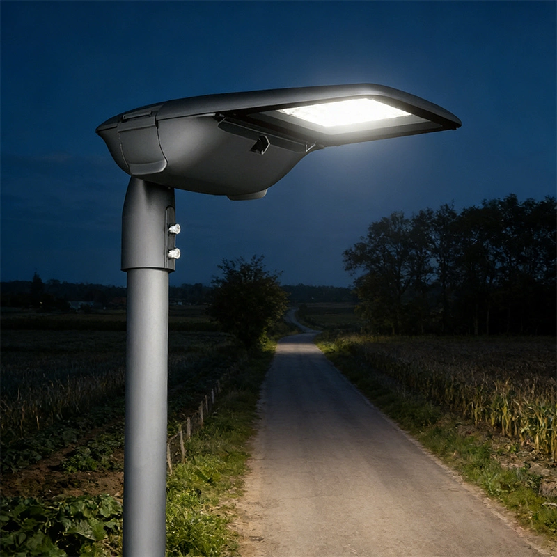 EAGLE Series LED Street Light with 15° Adjustable Angle & 10KV SPD Protection 1