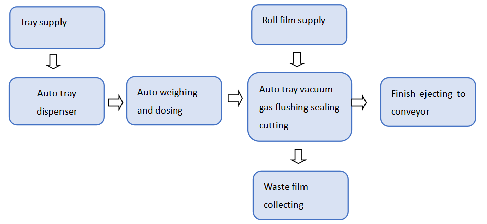 Meal Packing Machine Solution Process