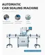 Smartweigh Pack cost-effective granule machine manufacturers company with high cost performance31 2