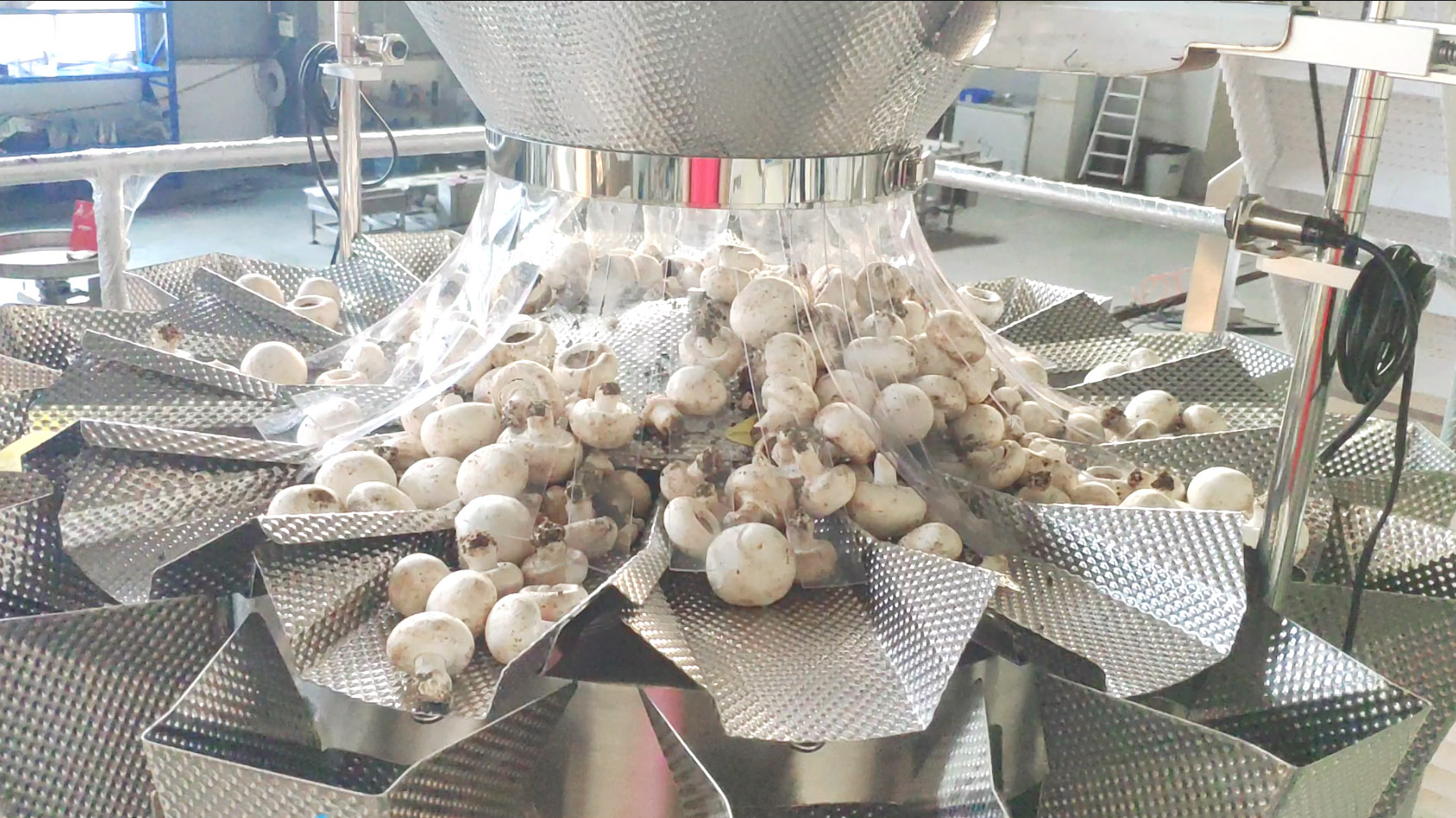 Automatesch Champignon Fëllung Verpackungslinn Geméis Broccoli Plastikkëscht Verpackungsmaschinn mat Schacht Spender 7